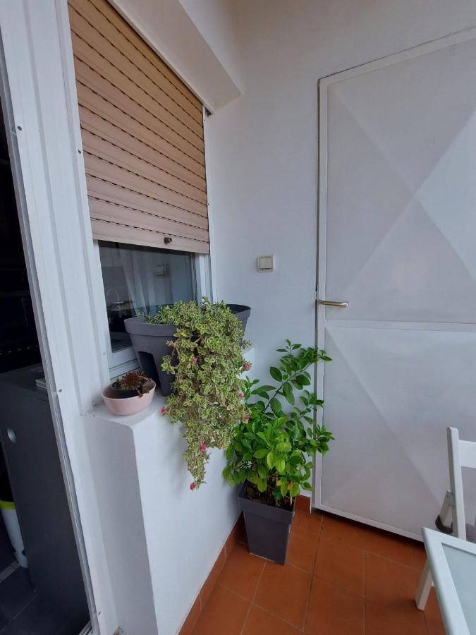 Center Danube Street Apartment Novi Sad Ngoại thất bức ảnh