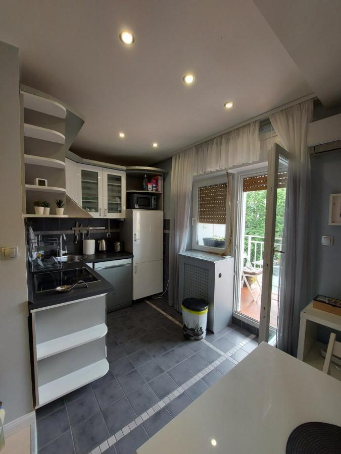 Center Danube Street Apartment Novi Sad Ngoại thất bức ảnh